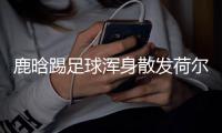  鹿晗踢足球浑身散发荷尔蒙 31岁仍是少年模样